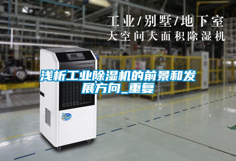 浅析工业除湿机的前景和发展方向_重复