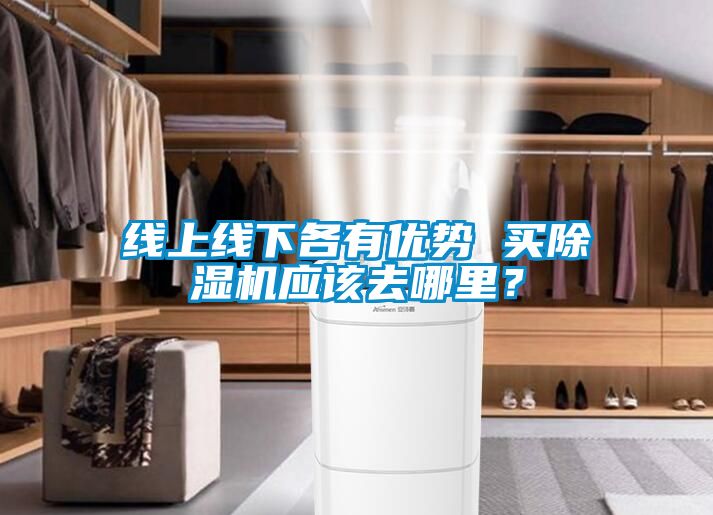 线上线下各有优势 买除湿机应该去哪里？
