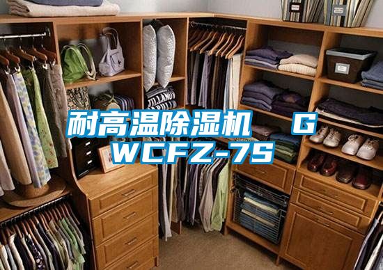 耐高温除湿机  GWCFZ-7S