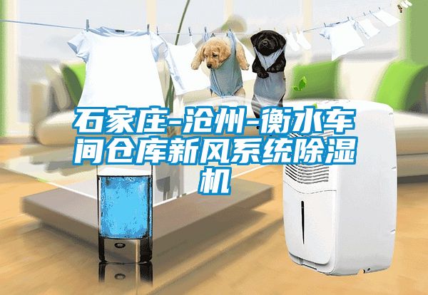 石家庄-沧州-衡水车间仓库新风系统除湿机
