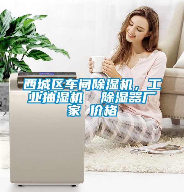 西城区车间除湿机，工业抽湿机  除湿器厂家 价格