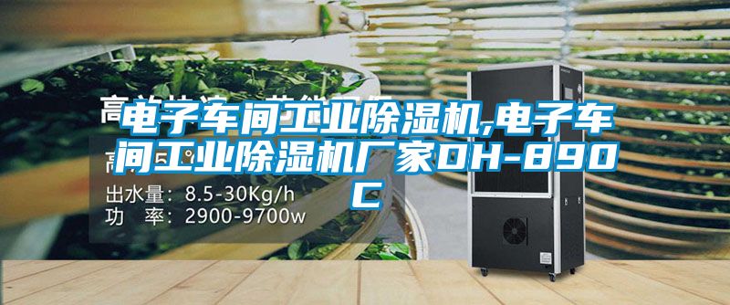 电子车间工业除湿机,电子车间工业除湿机厂家DH-890C