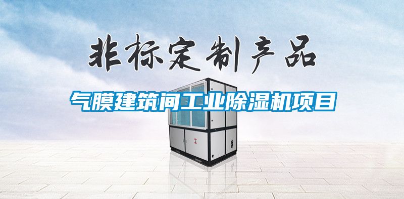 气膜建筑间工业除湿机项目