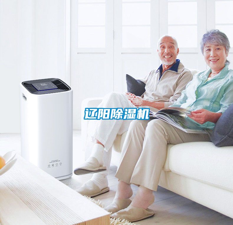 辽阳除湿机