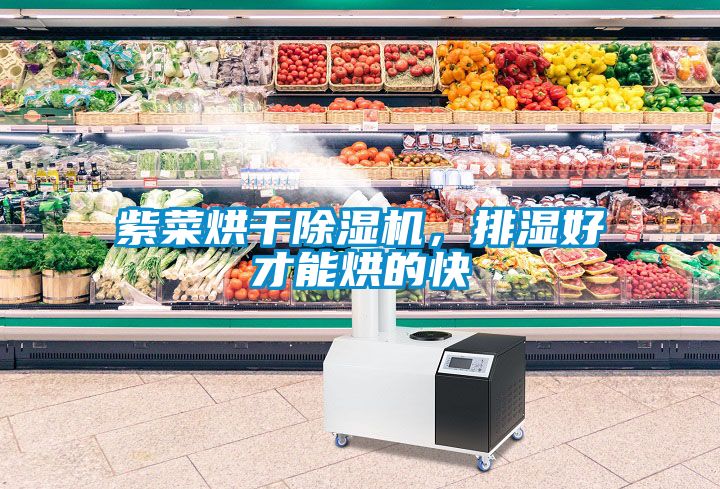 紫菜烘干除湿机，排湿好才能烘的快