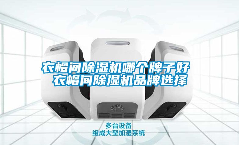衣帽间除湿机哪个牌子好 衣帽间除湿机品牌选择