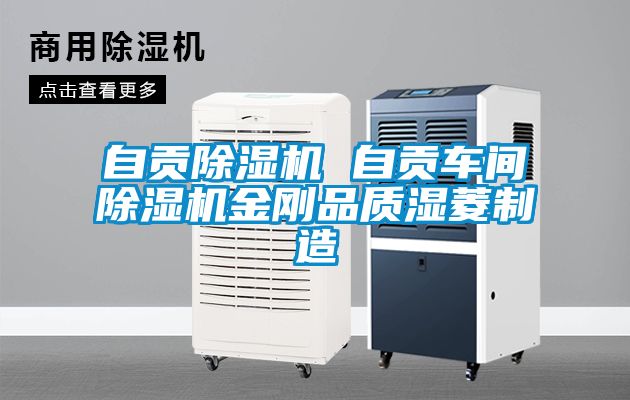 自贡除湿机 自贡车间除湿机金刚品质湿菱制造