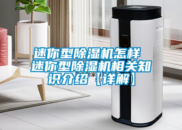 迷你型除湿机怎样 迷你型除湿机相关知识介绍【详解】