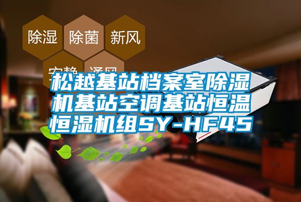 松越基站档案室除湿机基站空调基站恒温恒湿机组SY-HF45