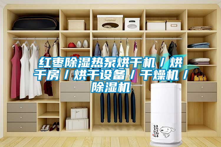 红枣除湿热泵烘干机／烘干房／烘干设备／干燥机／除湿机