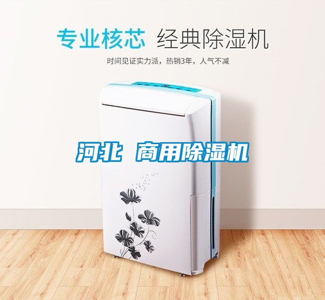 河北 商用除湿机