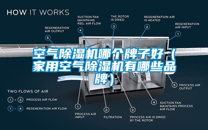 空气除湿机哪个牌子好（家用空气除湿机有哪些品牌）