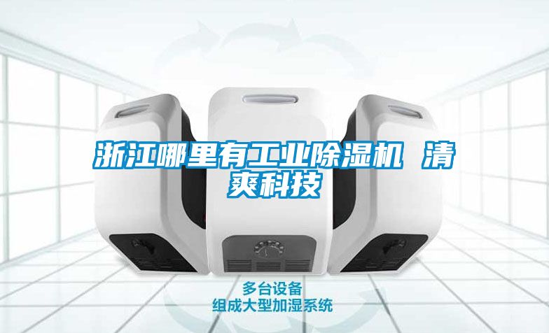 浙江哪里有工业除湿机 清爽科技
