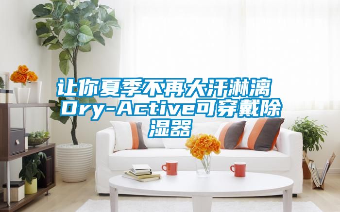 让你夏季不再大汗淋漓 Dry-Active可穿戴除湿器