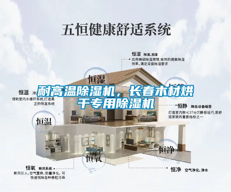 耐高温除湿机，长春木材烘干专用除湿机