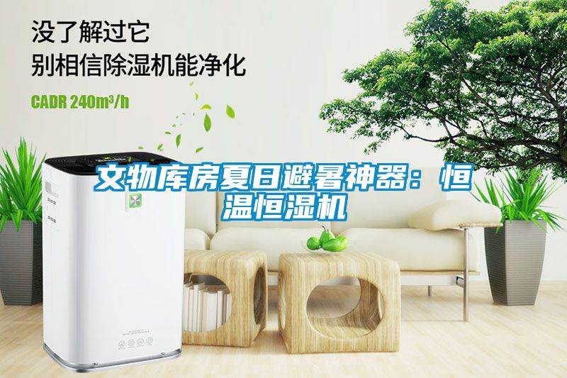 文物库房夏日避暑神器：恒温恒湿机
