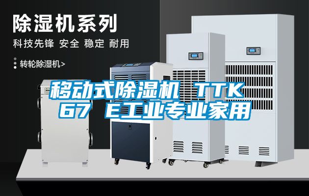 移动式除湿机 TTK 67 E工业专业家用