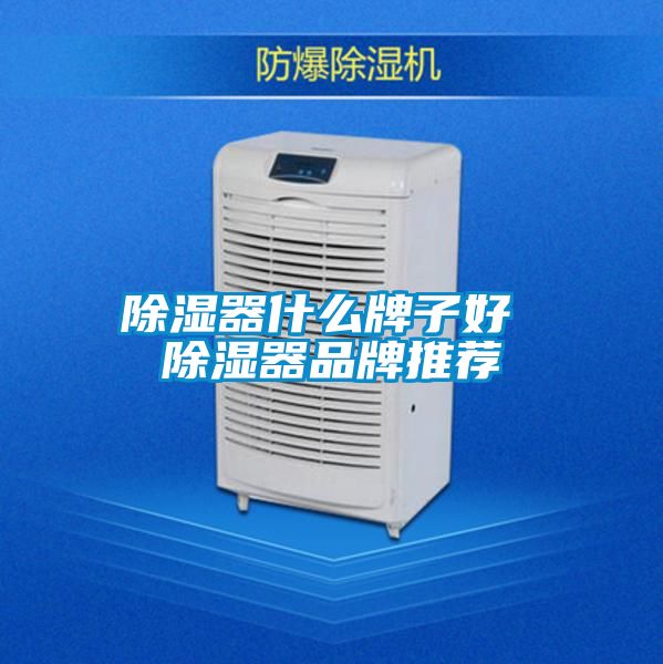 除湿器什么牌子好 除湿器品牌推荐