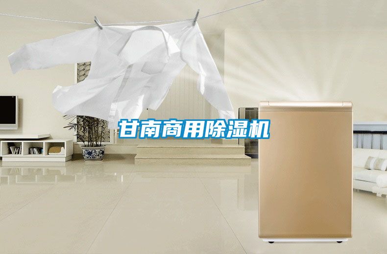 甘南商用除湿机