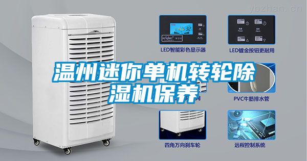 温州迷你单机转轮除湿机保养