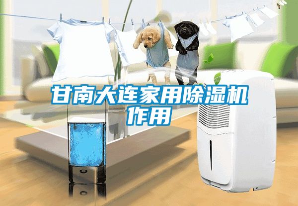 甘南大连家用除湿机作用