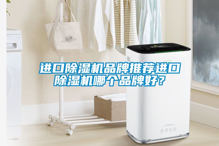 进口除湿机品牌推荐进口除湿机哪个品牌好？