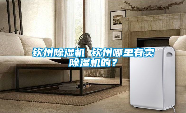 钦州除湿机 钦州哪里有卖除湿机的？