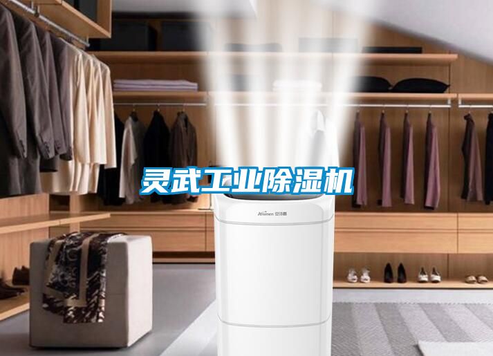 灵武工业除湿机