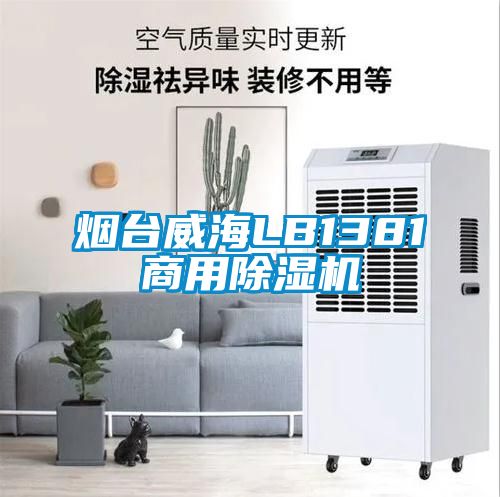 烟台威海LB1381商用除湿机