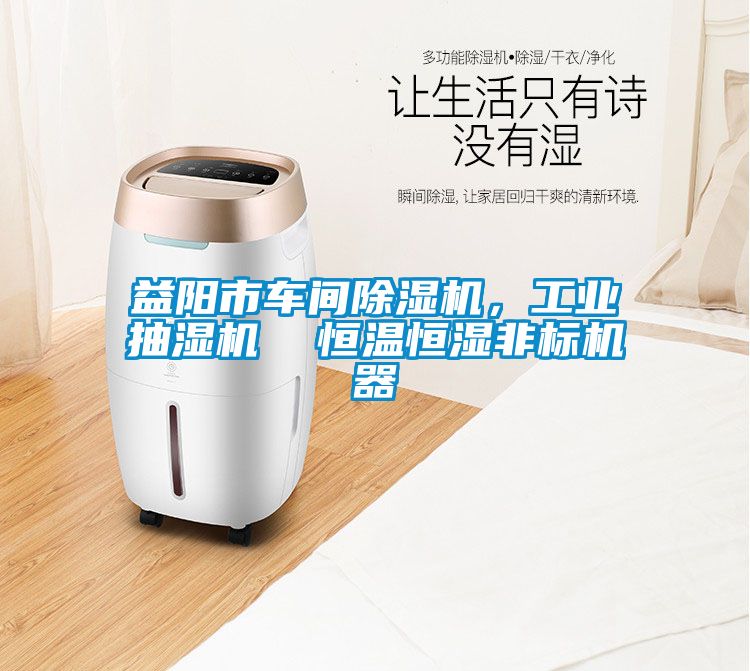 益阳市车间除湿机，工业抽湿机  恒温恒湿非标机器