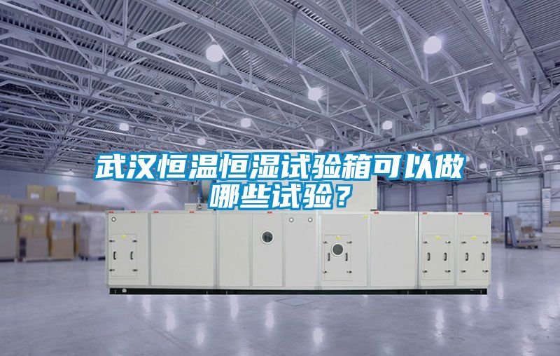 武汉恒温恒湿试验箱可以做哪些试验？