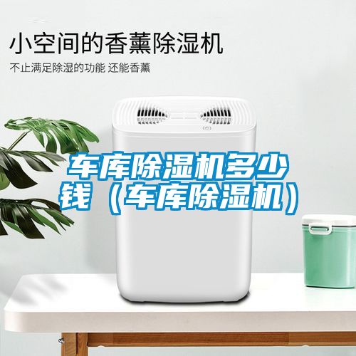 车库除湿机多少钱（车库除湿机）
