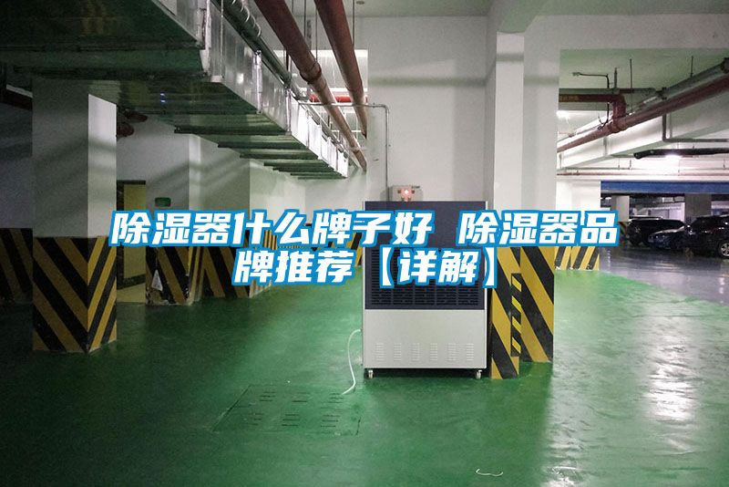 除湿器什么牌子好 除湿器品牌推荐【详解】