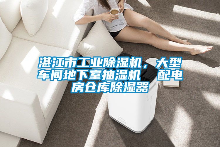 湛江市工业除湿机，大型车间地下室抽湿机  配电房仓库除湿器
