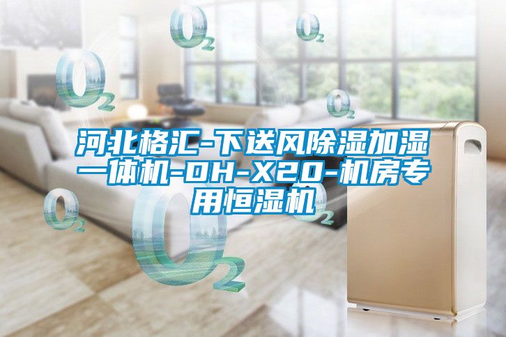 河北格汇-下送风除湿加湿一体机-DH-X20-机房专用恒湿机