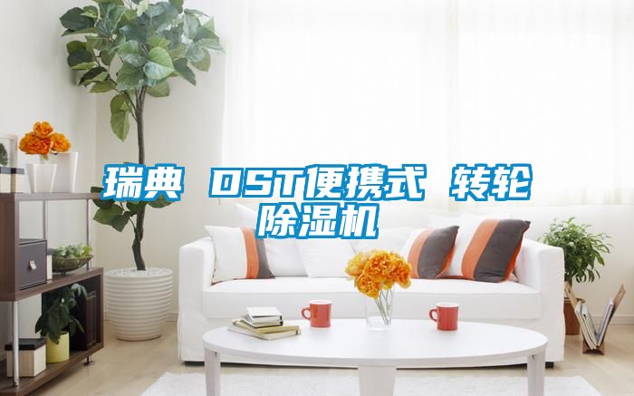 瑞典 DST便携式 转轮除湿机