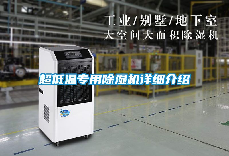 超低温专用除湿机详细介绍