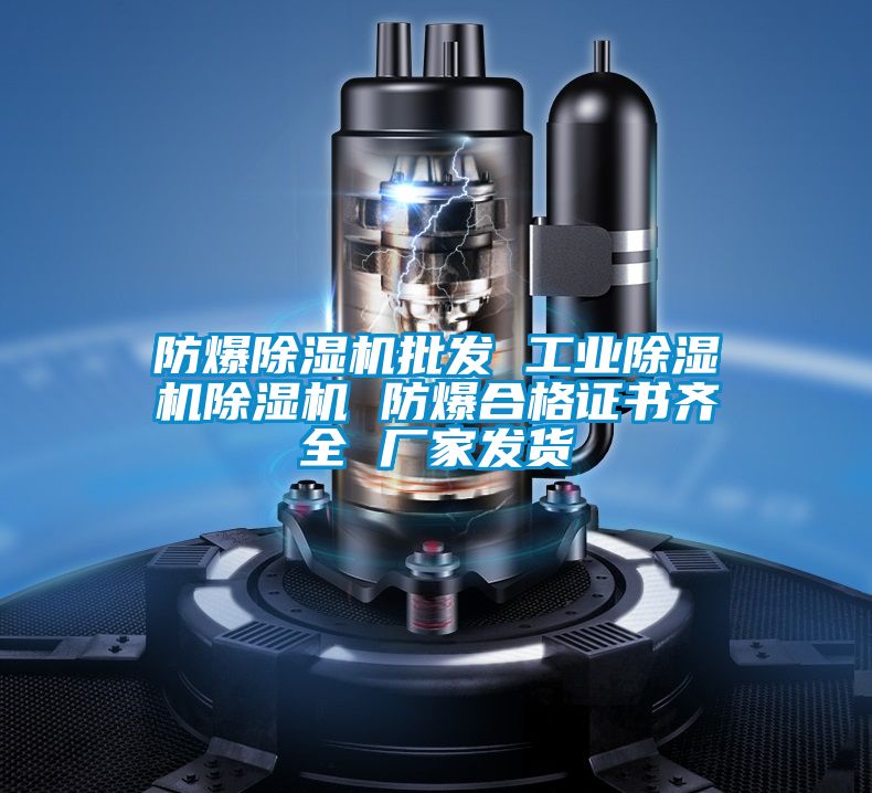 防爆除湿机批发 工业除湿机除湿机 防爆合格证书齐全 厂家发货