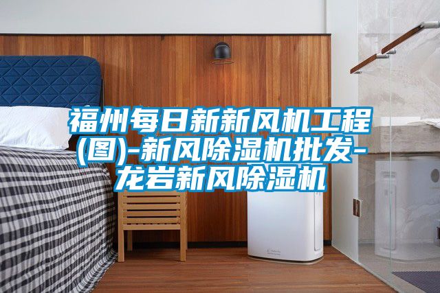福州每日新新风机工程(图)-新风除湿机批发-龙岩新风除湿机