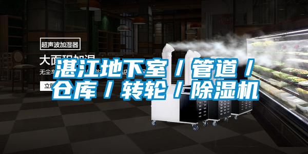 湛江地下室／管道／仓库／转轮／除湿机