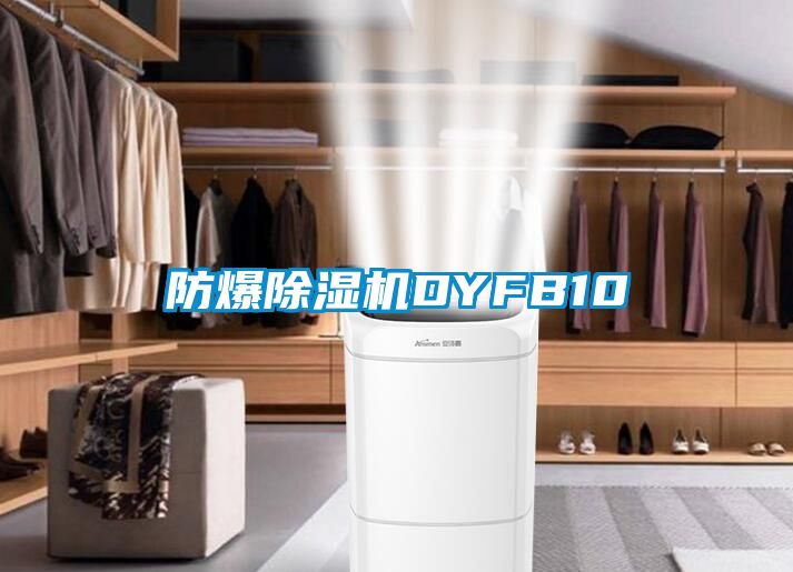 防爆除湿机DYFB10