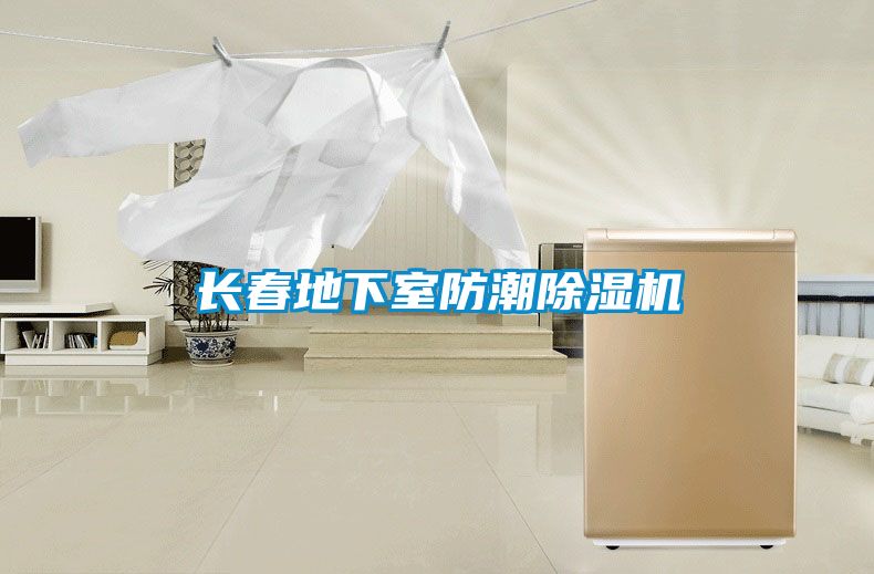 长春地下室防潮除湿机