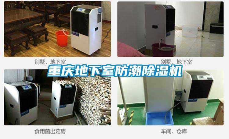 重庆地下室防潮除湿机