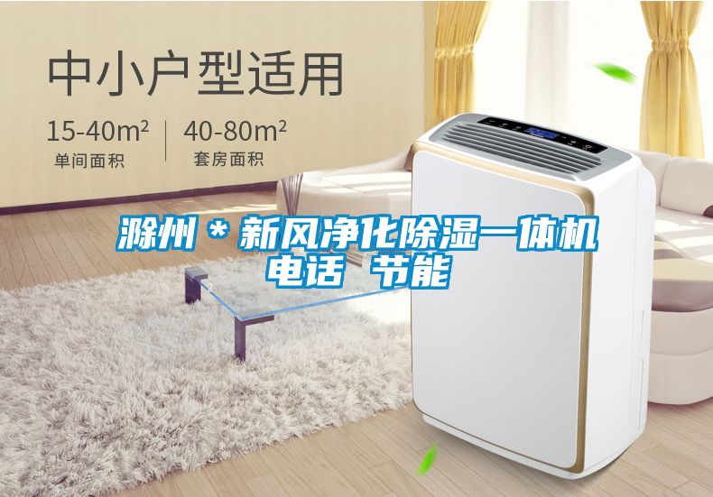 滁州＊新风净化除湿一体机电话 节能