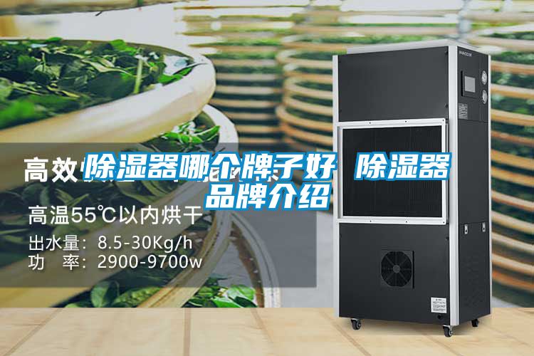 除湿器哪个牌子好 除湿器品牌介绍