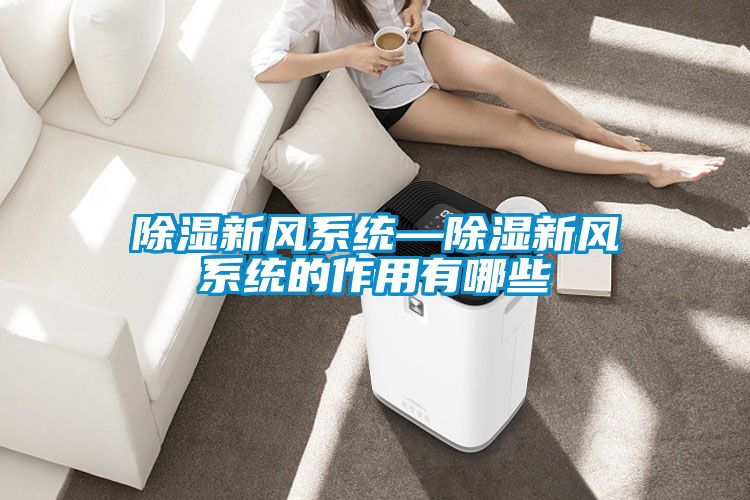 除湿新风系统—除湿新风系统的作用有哪些