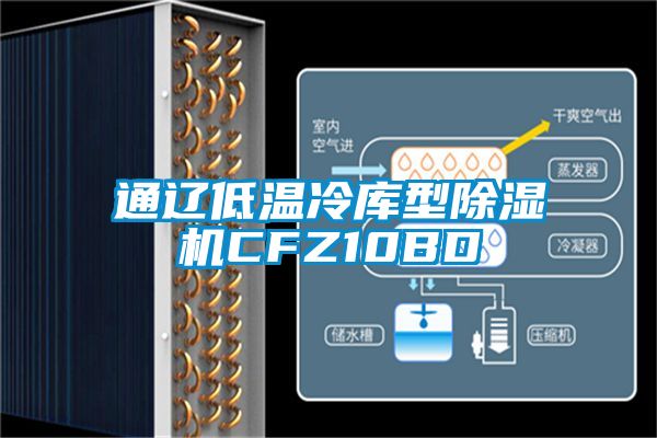 通辽低温冷库型除湿机CFZ10BD