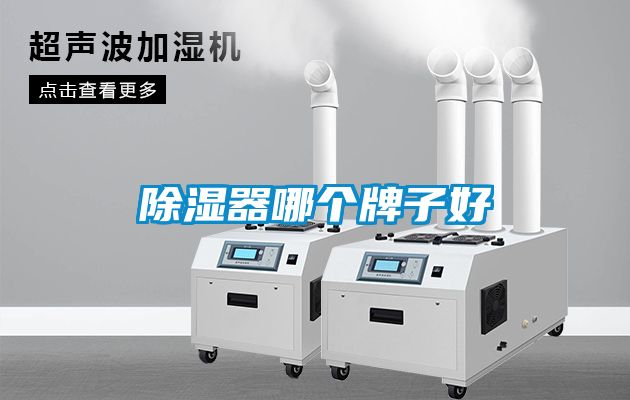 除湿器哪个牌子好