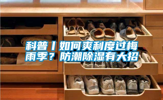 科普丨如何爽利度过梅雨季？防潮除湿有大招