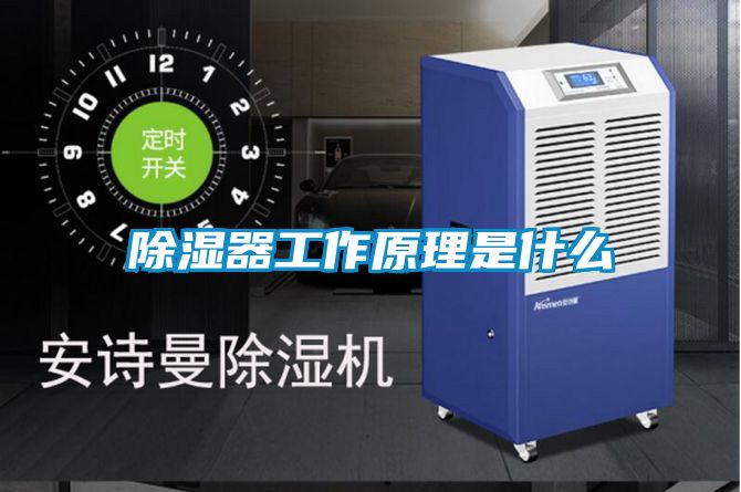 除湿器工作原理是什么